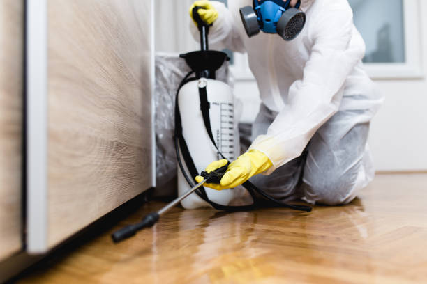Best Mosquito Control Services  in West York, PA