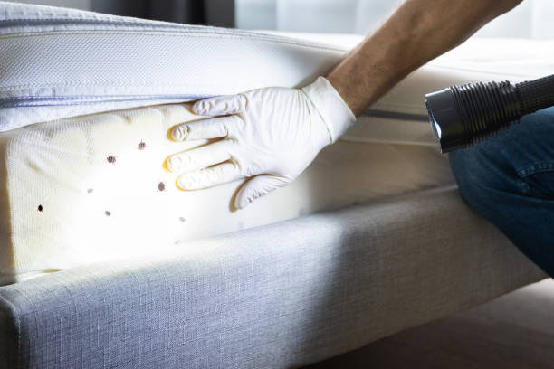 West York, PA Pest Control Company