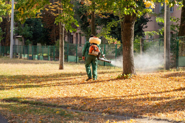 Best Pest Removal Services  in West York, PA