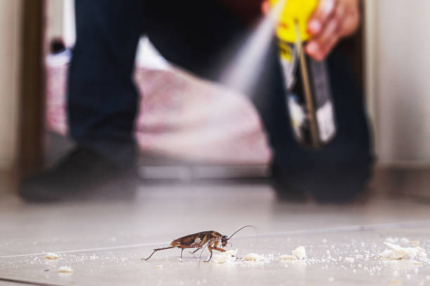 Pest Prevention Services in West York, PA